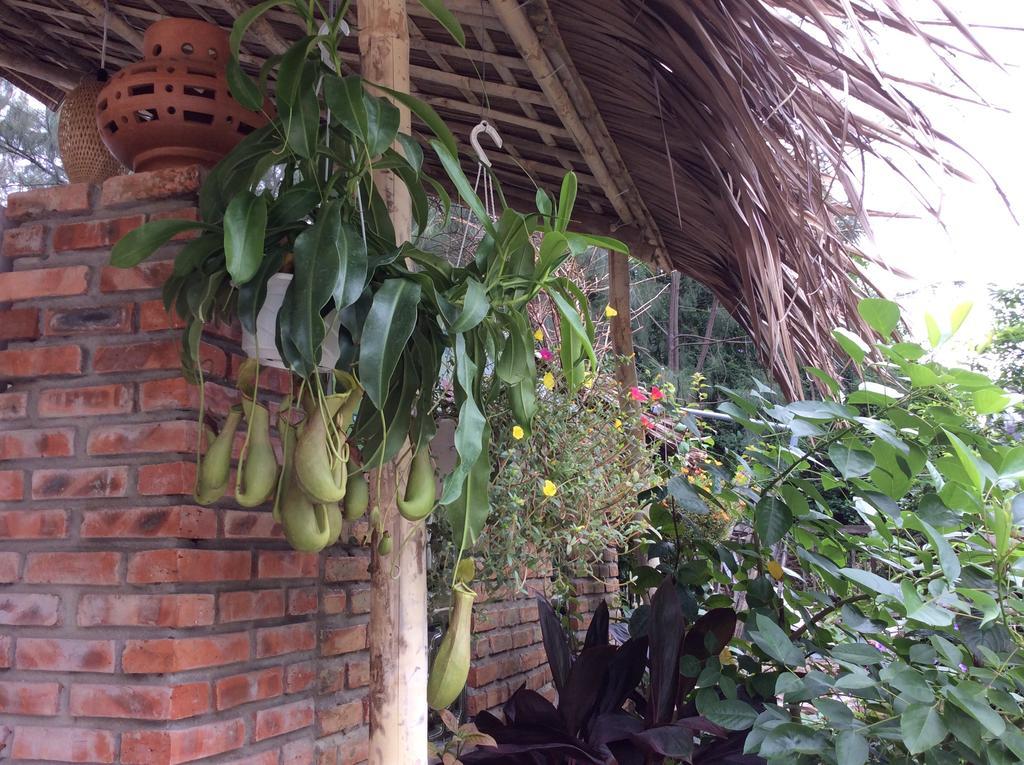 An Bang Beach Lan'S Villa Hoi An Exterior photo